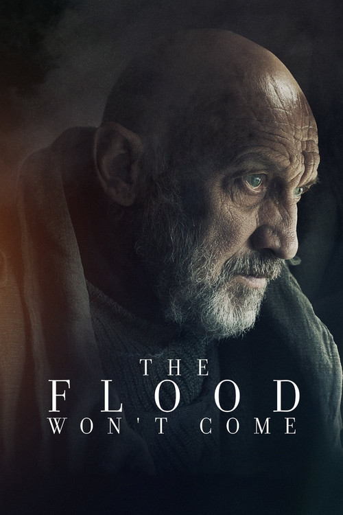 The Flood Won’t Come (2020) poster