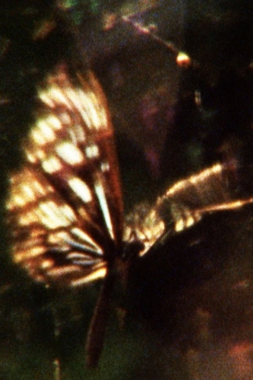 A Flea’s Skin Would Be Too Big For You (2013) poster