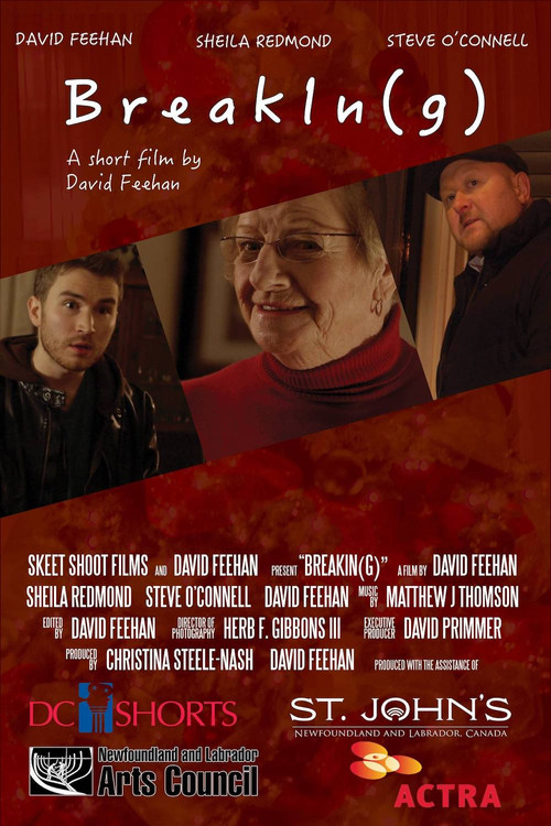 BreakIn(g) (2015) poster