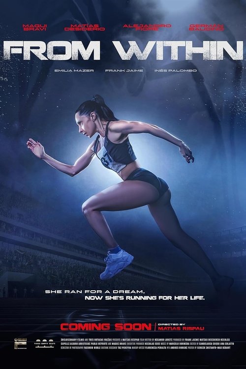 Desde adentro (2025) poster