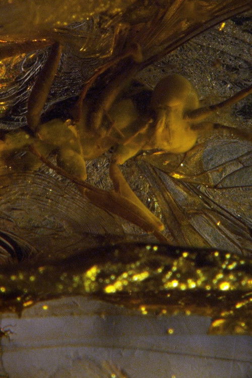 De-Extinction (2014) poster