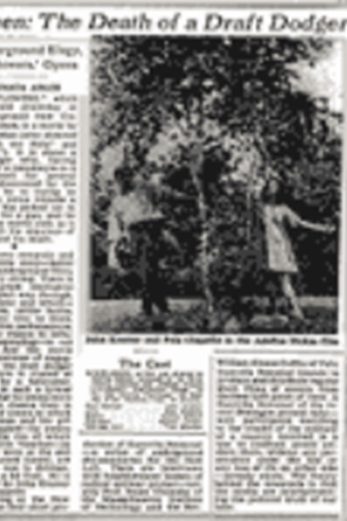 Windflowers (1968) poster