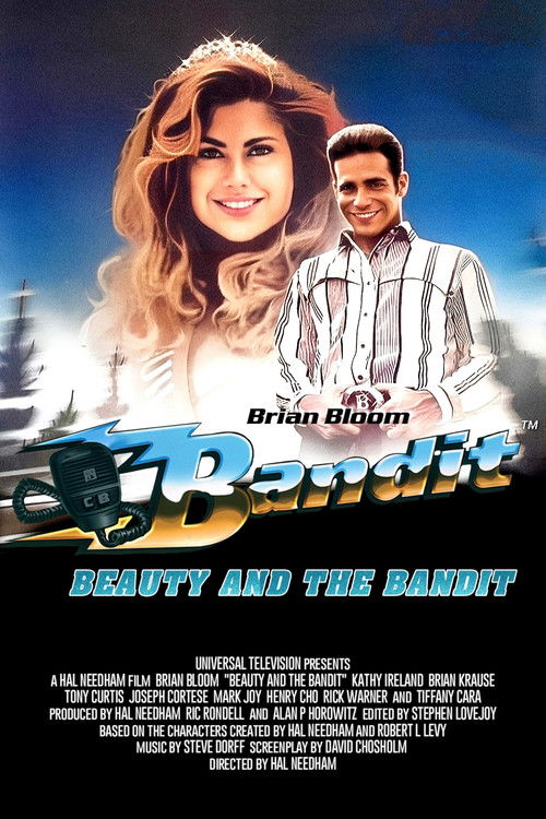 Bandit: Beauty and the Bandit (1994) poster