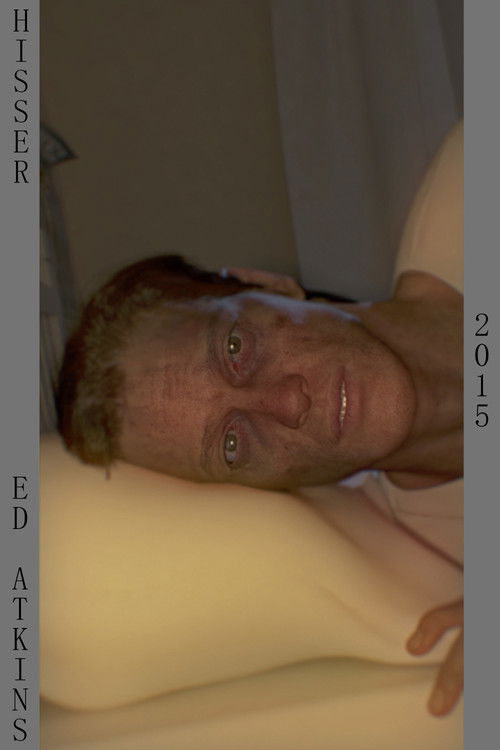 Hisser (2015) poster