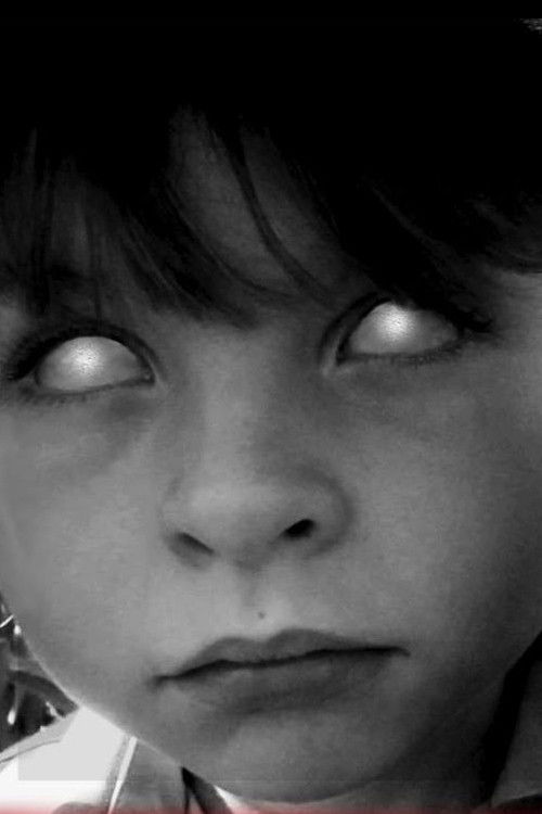 The Cornfield (2017) poster