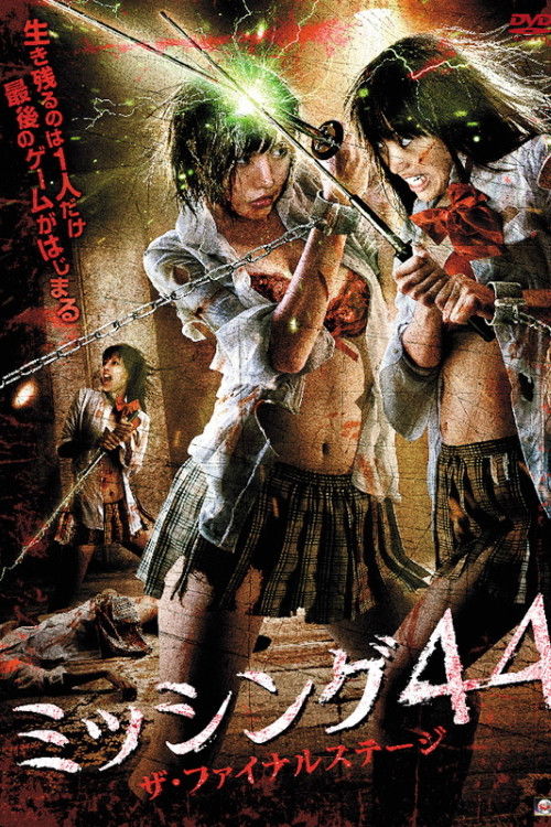 Missing 44 The Final Stage (2010) poster