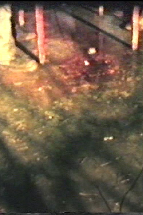 Slaughter Ahoy (1981) poster