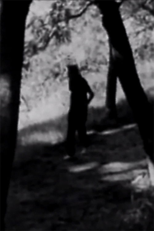 Homenaje a Juan L. Ortiz (1994) poster