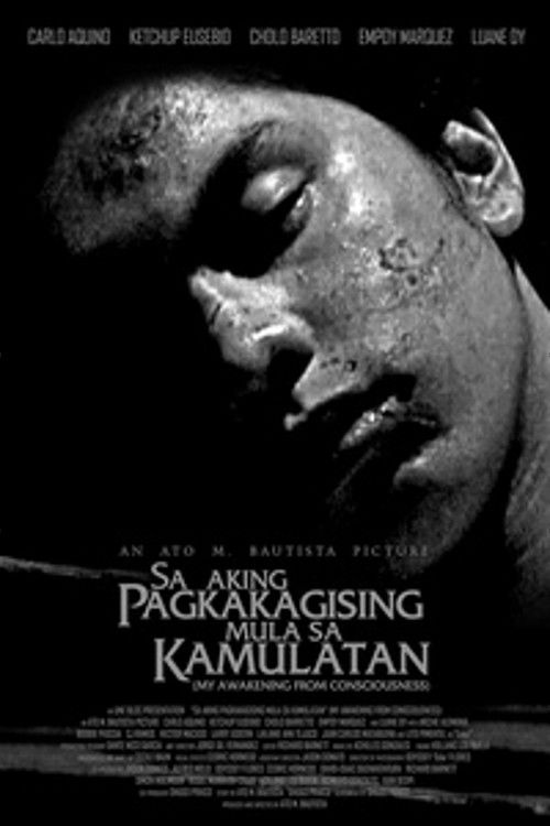 Sa Aking Pagkakagising Mula sa Kamulatan (2005) poster