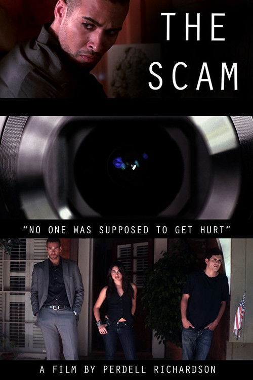 The Scam (2012) poster