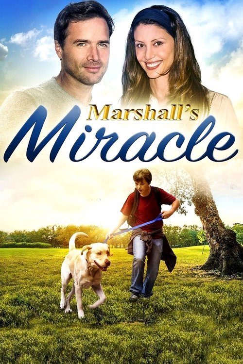 Marshall's Miracle (2015) poster