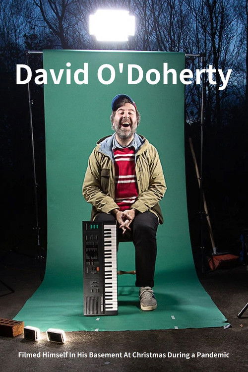 David O'Doherty Filmed Himself In His Basement At Christmas During a Pandemic (2020) poster