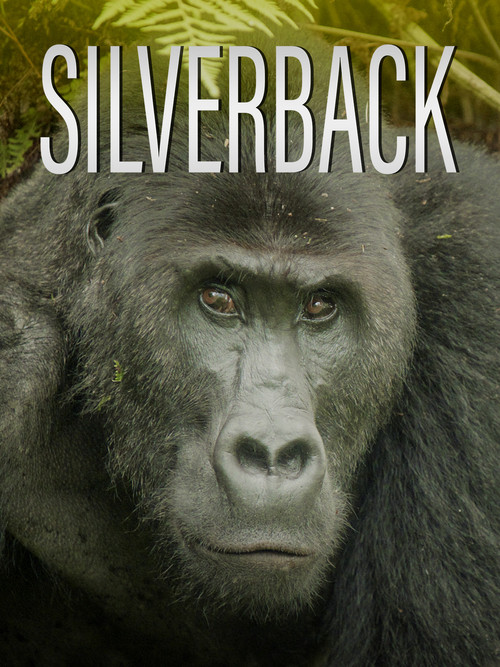 Silverback (2024) poster