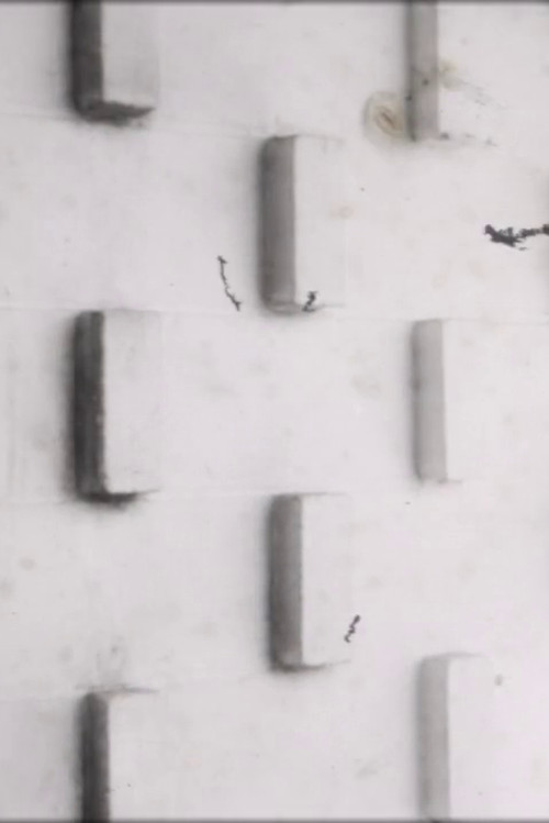 Modern Island (2011) poster