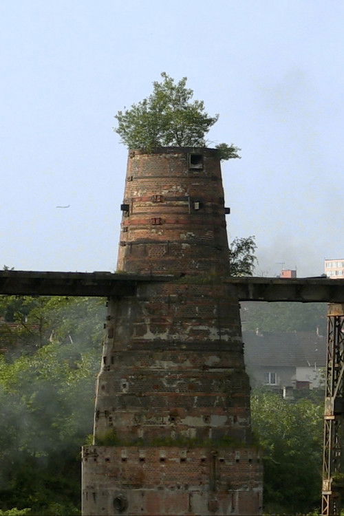 Above Us Only Sky (2019) poster