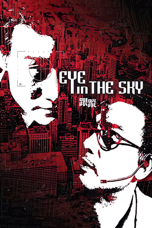 Eye in the Sky (2007) poster