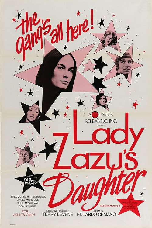 Millie's Homecoming (1971) poster