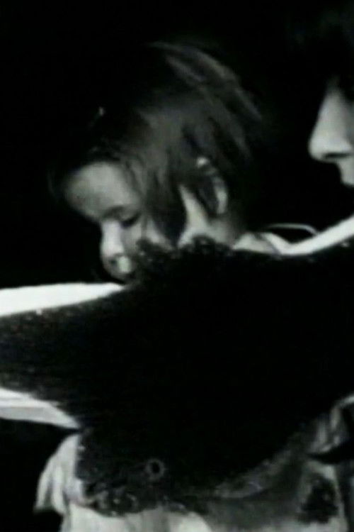 Gasoline (1970) poster