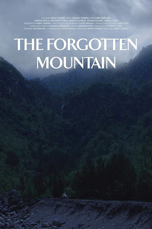 The Forgotten Mountain (2018) poster