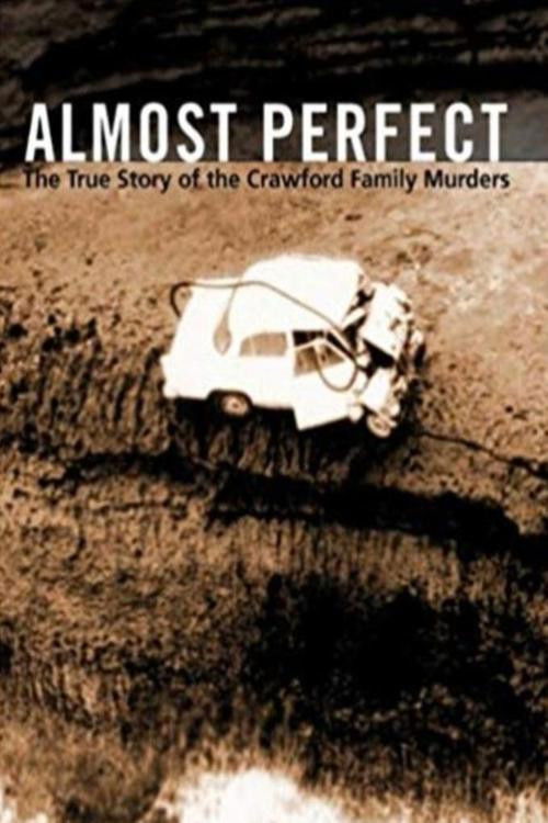 Almost Perfect (2006) poster