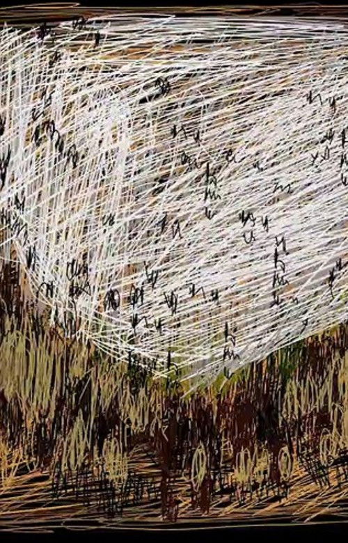 A One Minute History Of Image Distortions (2017) poster