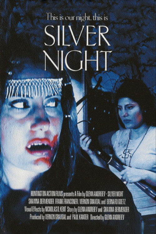 Silver Night (2005) poster