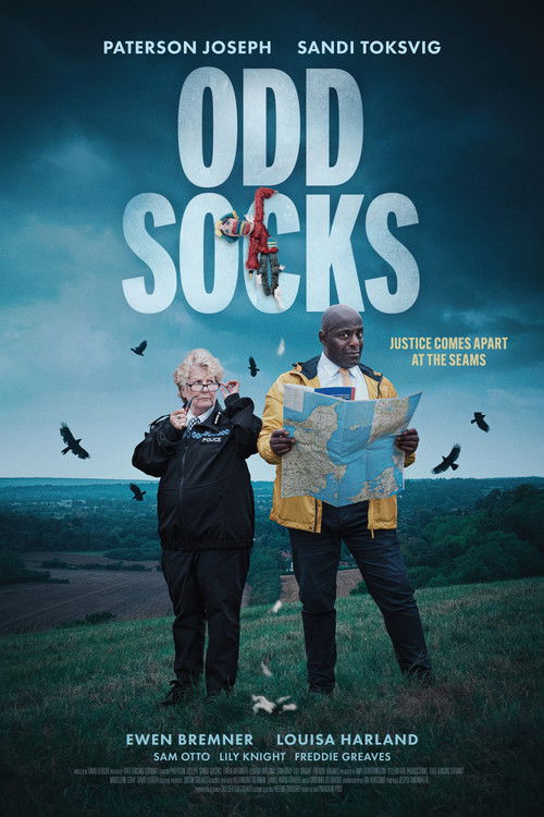 Odd Socks (2025) poster