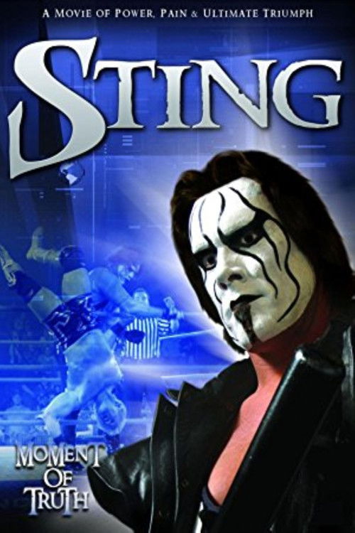 Sting: Moment of Truth (2004) poster