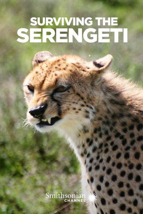 Surviving the Serengeti (2015) poster