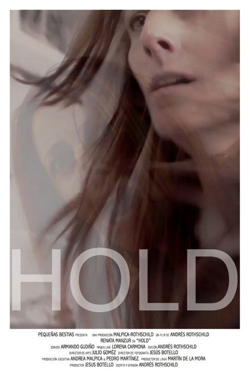 Hold (2017) poster