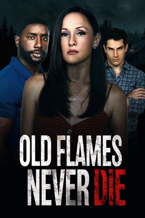 Old Flames Never Die (2022) poster