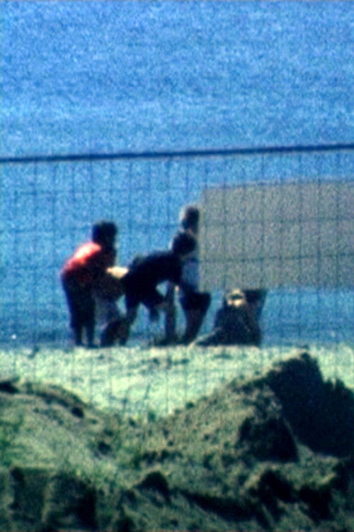 Bird High Up (2011) poster