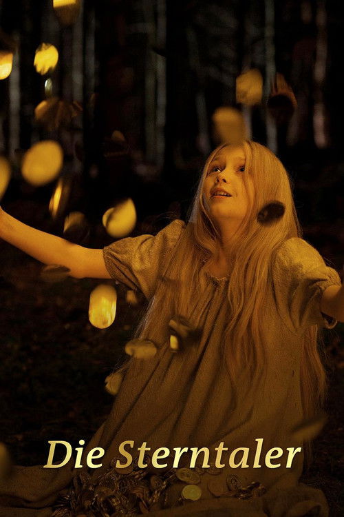Die Sterntaler (2011) poster