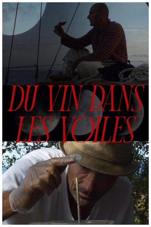 Du vin dans les voiles (2023) poster