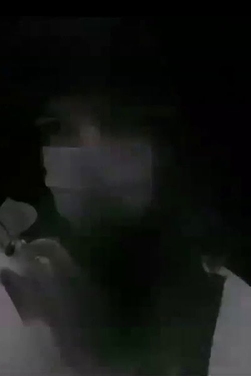 Trompe-l'oeil (2009) poster