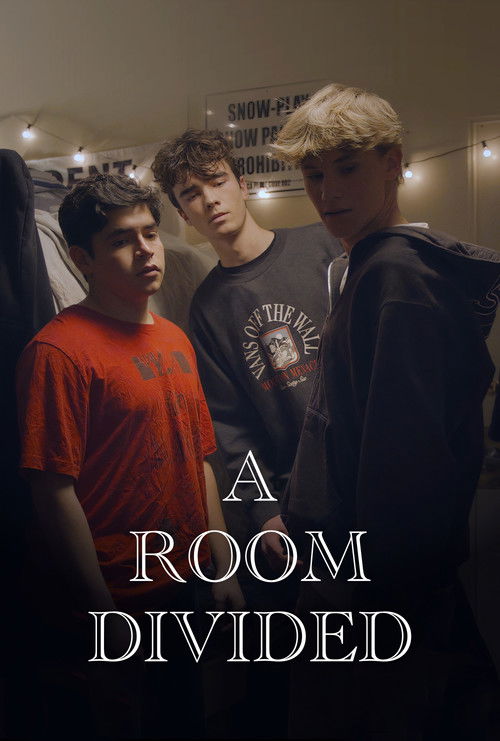 A Room Divided (2024) poster