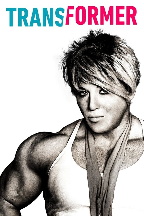 Transformer (2018) poster