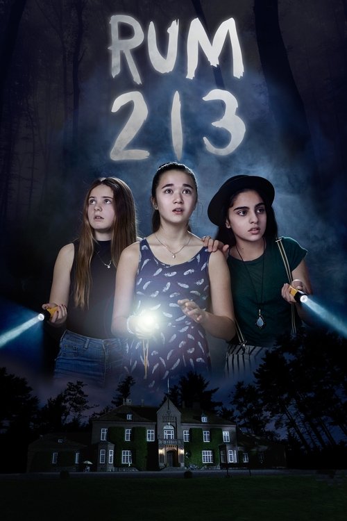 Room 213 (2017) poster