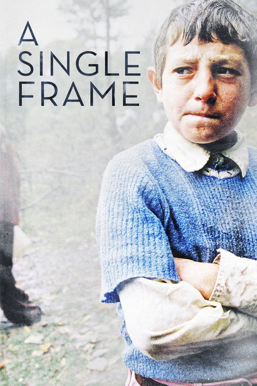 A Single Frame (2015) poster