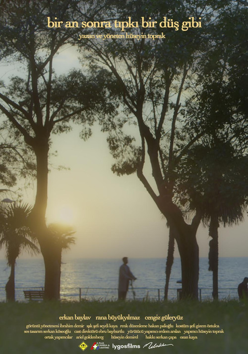 A moment later just like a dream (2021) poster