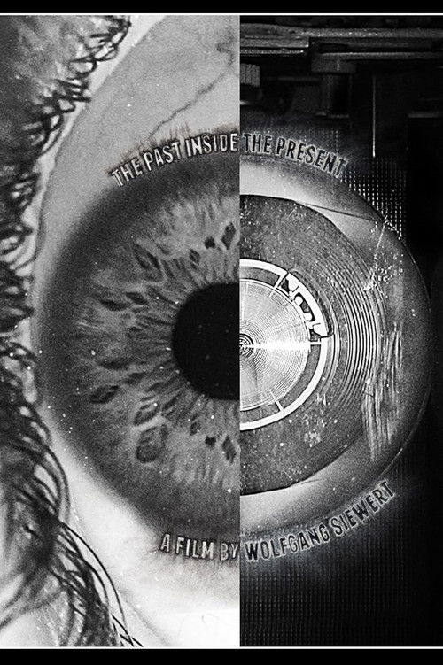 The Past Inside The Present (2016) poster