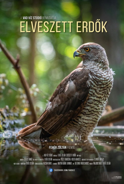 Elveszett erdők (2024) poster