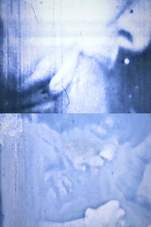 Transfer of Modulation (1969) poster