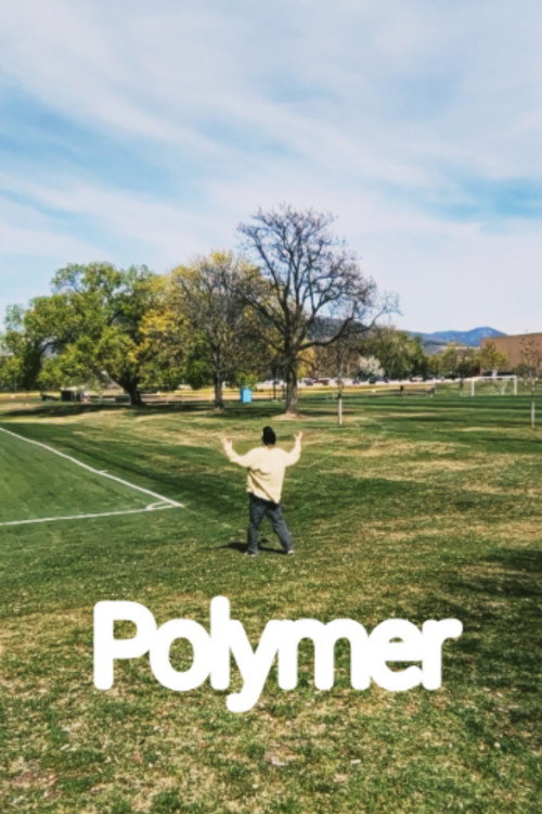 Polymer (2026) poster