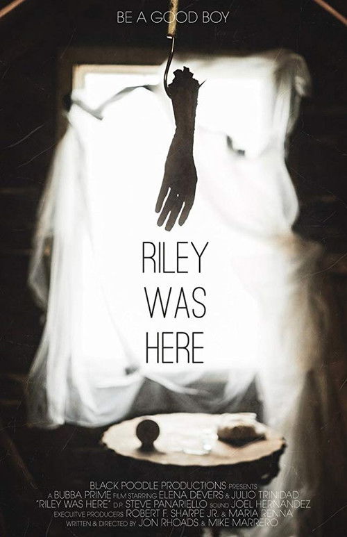 Riley Was Here (2018) poster