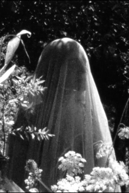 L'Île aux robes (2018) poster