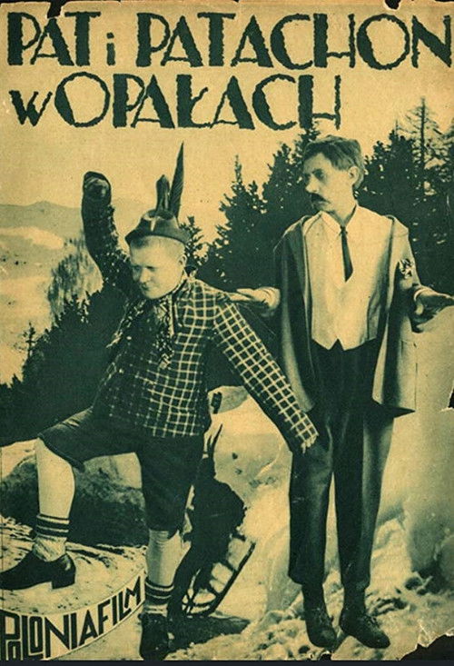 Schwiegersöhne (1926) poster