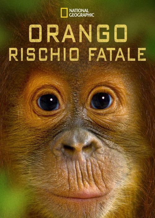 Orango rischio fatale (2015) poster