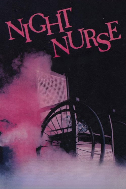 The Night Nurse (1978) poster