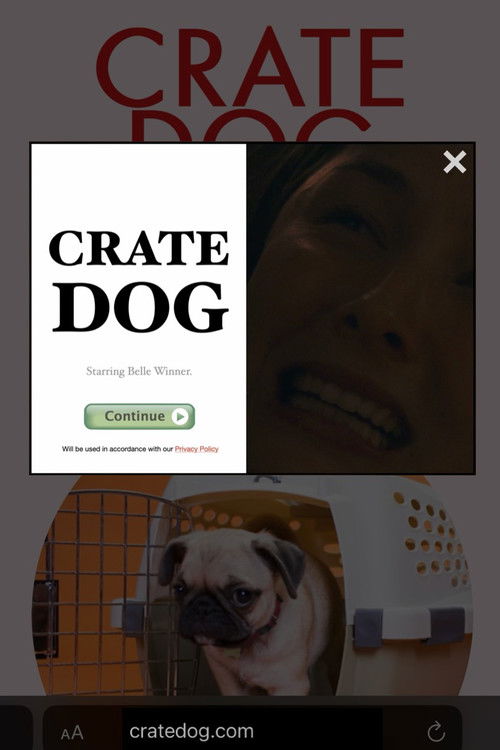 Crate Dog (2024) poster